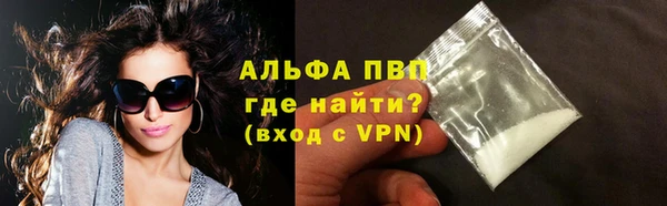 индика Лихославль