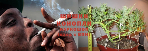 индика Лихославль